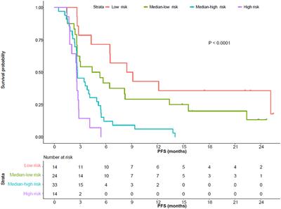 Risk Models for Advanced Melanoma Patients Under Anti-PD-1 Monotherapy—Ad hoc Analyses of Pooled Data From Two Clinical Trials